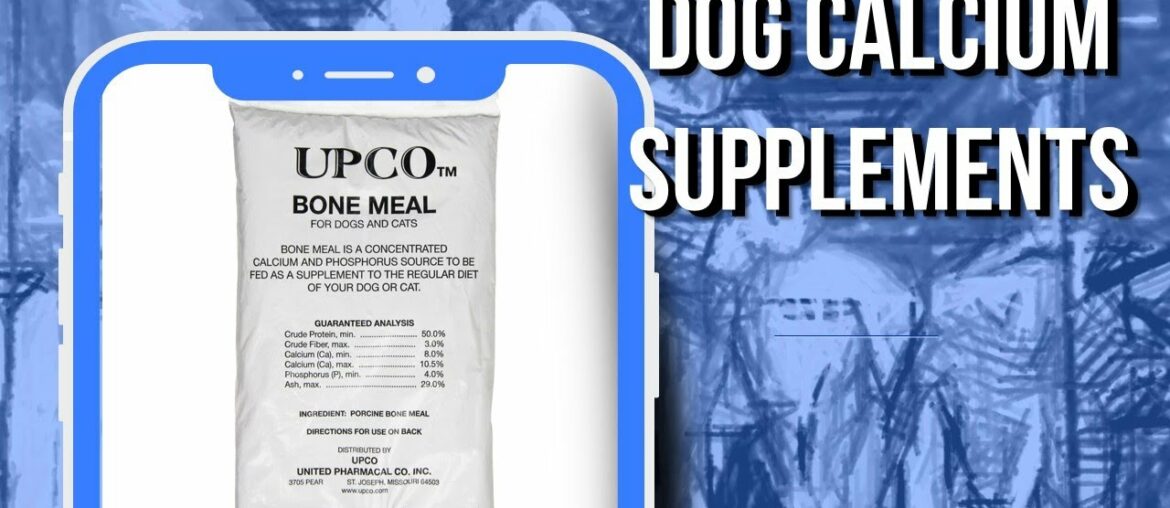 5 Best Whishlisted Dog Calcium Supplements You Can Find Online