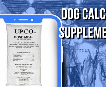 5 Best Whishlisted Dog Calcium Supplements You Can Find Online