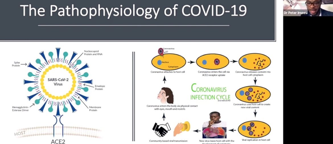 #COVID19 and Why Herd Immunity, Antibody and Rapid Tests Kits Are Not Reliable - Dr Peter Imoesi.