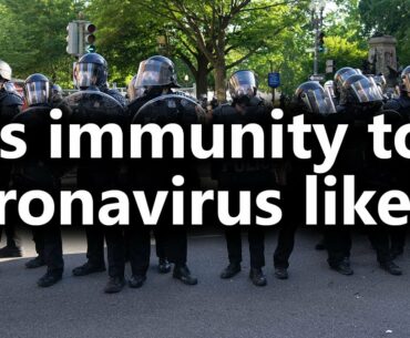 Is immunity to coronavirus likely? (from Livestream #25)