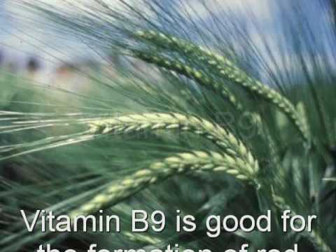 Vitamin B9 (Folic Acid)