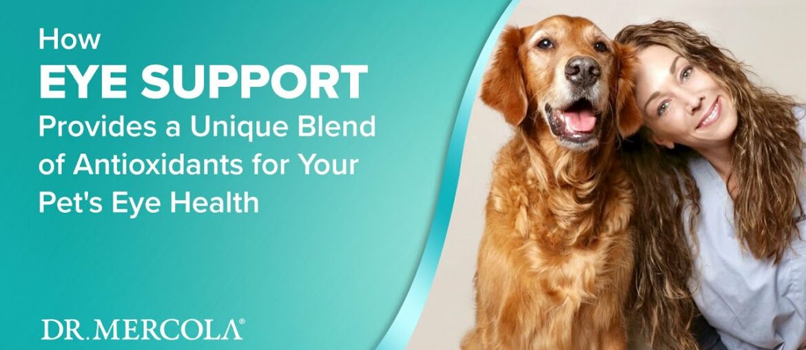 How EYE SUPPORT Provides a Unique Blend of Antioxidants for Your Pet's Eye Health