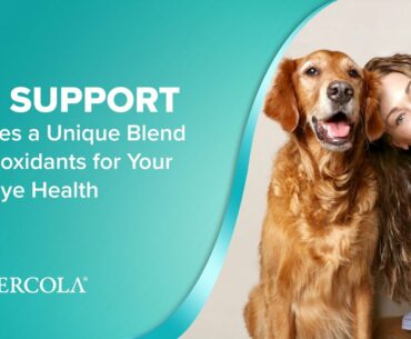 How EYE SUPPORT Provides a Unique Blend of Antioxidants for Your Pet's Eye Health