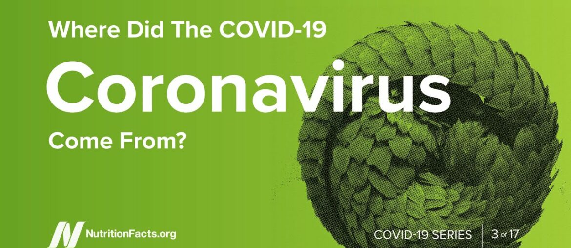 Where Did the COVID-19 Coronavirus Come From?