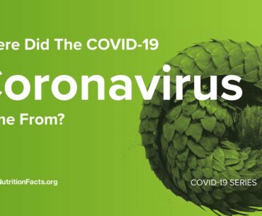 Where Did the COVID-19 Coronavirus Come From?