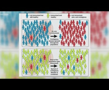 Herd immunity for COVID-19 reexplored