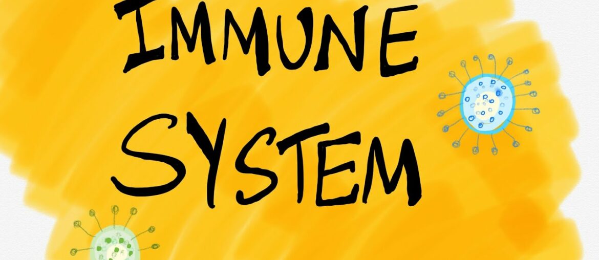 How to strengthen your immunity / The BrainGain / #immunity #immunesystem #covid-19