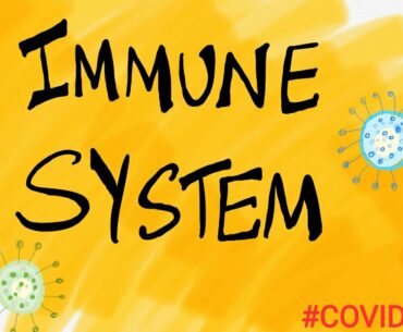 How to strengthen your immunity / The BrainGain / #immunity #immunesystem #covid-19