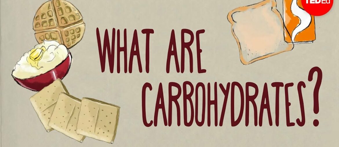 How do carbohydrates impact your health? - Richard J. Wood