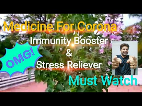 Medicine for Corona | Immunity Booster & Stress Reliever | Thiruneetru Pachilai |Basil |Covid19