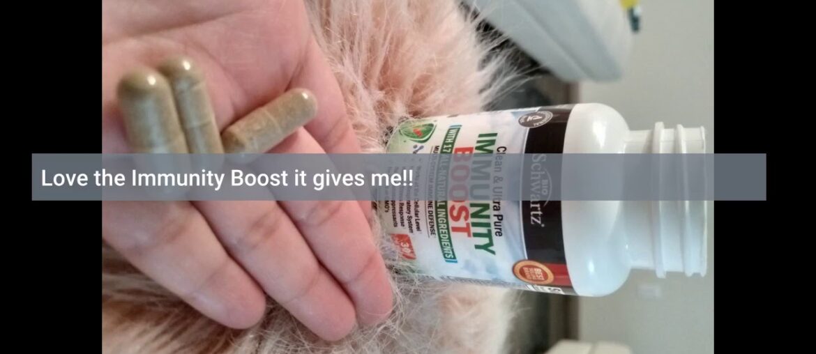 Review: Immunity Boost Supplement with Elderberry, Vitamin A, Echinacea & Zinc - Once Daily Mul...