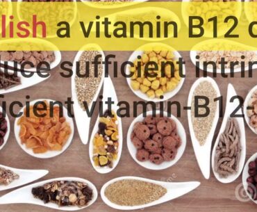 About Top 10 Vitamin B12 Foods & Their Benefits - DrAxe