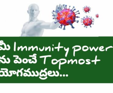 Immunity power ni penche yoga mudralu in Telugu