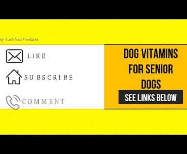 5 Dog Vitamins for Senior Dogs To Obtain Online 2020