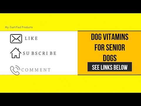 5 Dog Vitamins for Senior Dogs To Obtain Online 2020