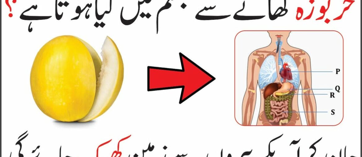 Melon fruit benefits for health and skin - Kharbooza ke fawaid - Health Factory