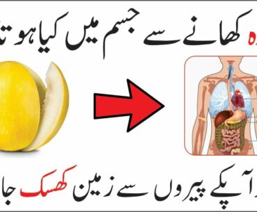 Melon fruit benefits for health and skin - Kharbooza ke fawaid - Health Factory