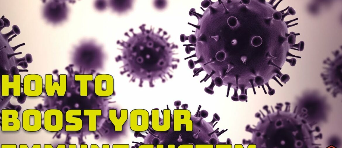 How And Why To Improve Our Immune Systems