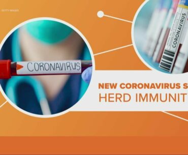 Study shows herd immunity unachievable without coronavirus vaccine