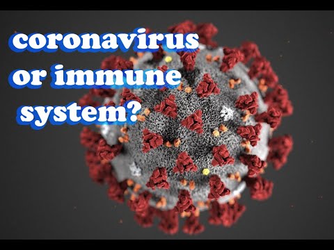 Is it coronavirus or immune system that kills the patients?