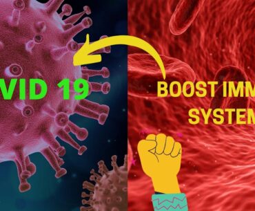 9 Tips To Boost Your Immune System - How To Fight Viruses !!