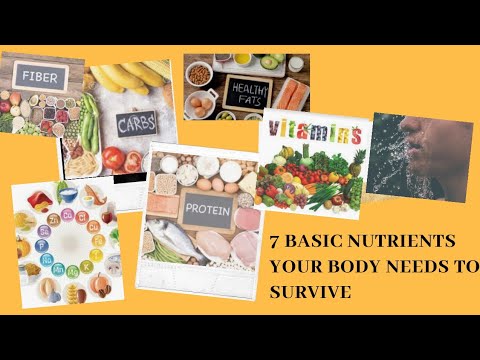 7 BASIC NUTRIENTS YOUR BODY NEEDS TO SURVIVE