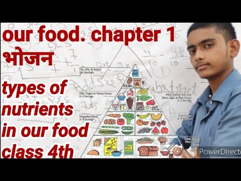 chapter 1 our food and nutrition in food types of nutrients in food class 4th why do we need food