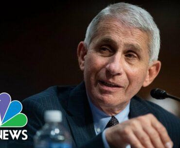 Anthony Fauci Says Coronavirus Vaccine Will Be Proven Effective Or Not By 2021 | NBC News NOW