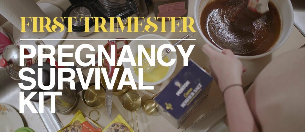 PREGNANCY SURVIVAL KIT - The First Trimester