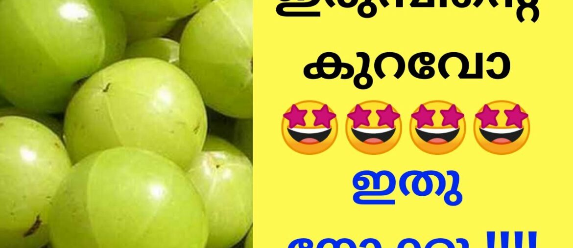 #Amla #Nellikka#Gooseberry Arishtam Ayrvedic supplement kerala vegetarian adukkala recipes