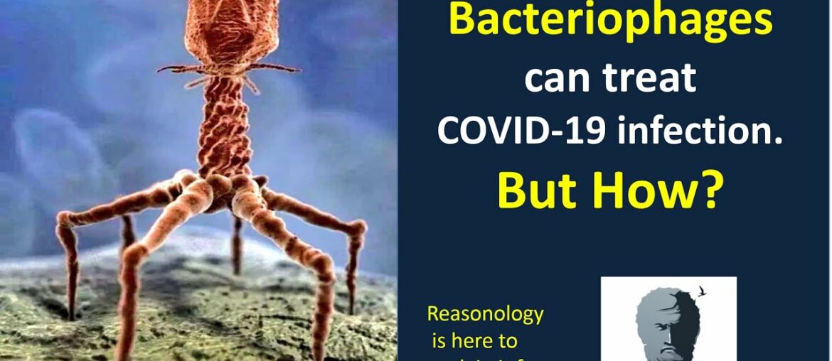 Bacteriophages can treat COVID-19 infection, But how?