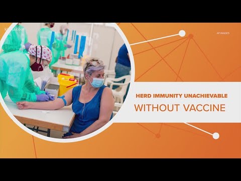 Connect the Dots: Spain study on herd immunity says its 'unachievable'