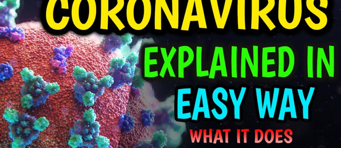 Coronavirus Mechanism Explained In Easy Way | COVID-19 | How it spreads & what you should do?