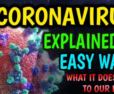 Coronavirus Mechanism Explained In Easy Way | COVID-19 | How it spreads & what you should do?