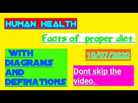 Human health and facts of proper diet and facts of vitamin and minerals.