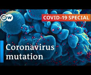 Coronavirus gene mutation: How scared should we be? | Covid-19 Special