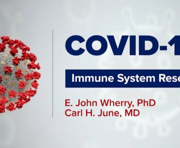 Immune System Research in Cancer and COVID-19