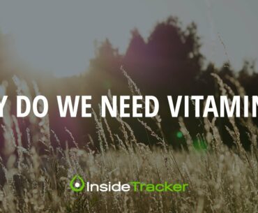 Why Do We Need Vitamin D?