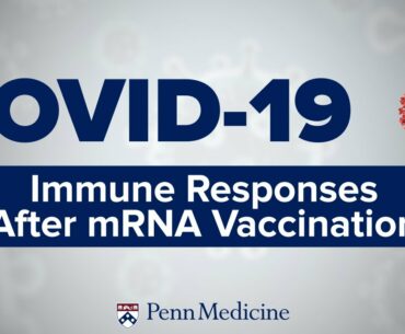 COVID-19 Symposium: Immune Responses After mRNA Vaccination | Dr. Michela Locci