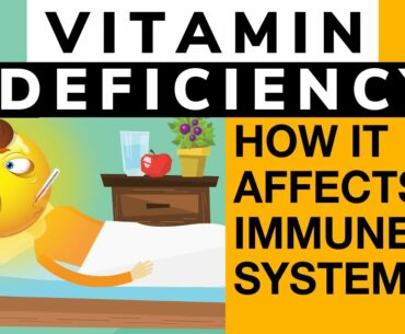 Vitamin Deficiency How it Affects the Immune System