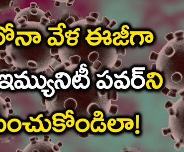 Coronavirus : Immunity Booster Diet Plan Suggested by Experts | Spot News Channel