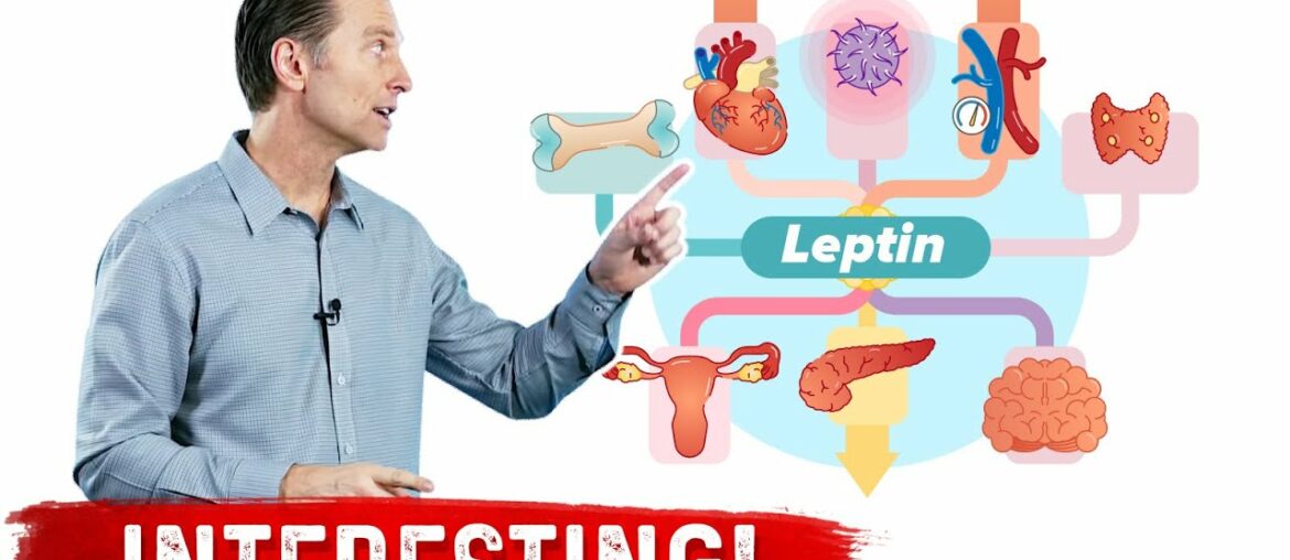 Leptin is an Immune Hormone