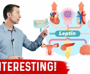 Leptin is an Immune Hormone