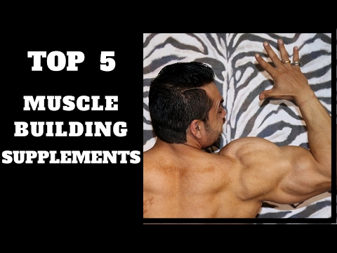 Top 5 Supplements for Muscle Growth