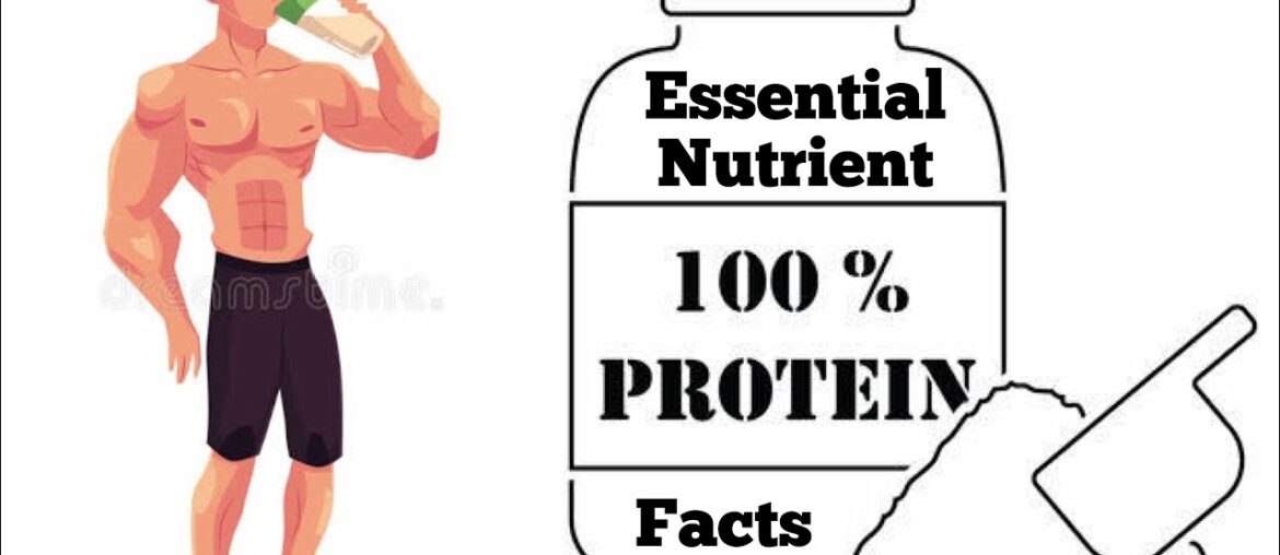 Protein The 2nd Most Essential Nutrient For Our Body