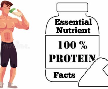 Protein The 2nd Most Essential Nutrient For Our Body