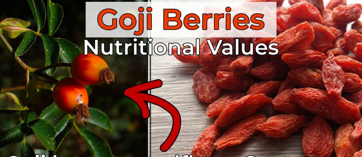 Learn about goji nutritional values | What is wolfberry? | Healthy Habits