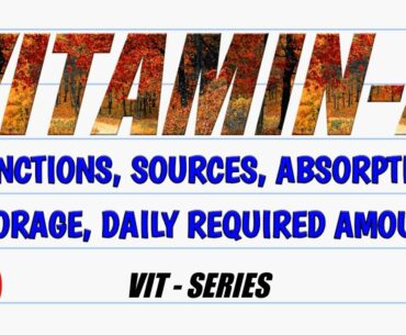 All about vitamin A | Benifit, function, storage, sources, required quantity | Vitamin presentation