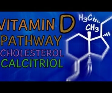 Vitamin D Pathway - Cholesterol, Sunlight and Calcitriol