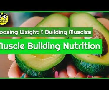 Muscle Building Nutrition (How to Lose Weight & Build Muscle)